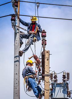 Power Line Worker